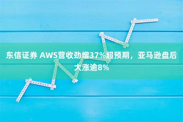 东信证券 AWS营收劲增37%超预期，亚马逊盘后大涨逾8%